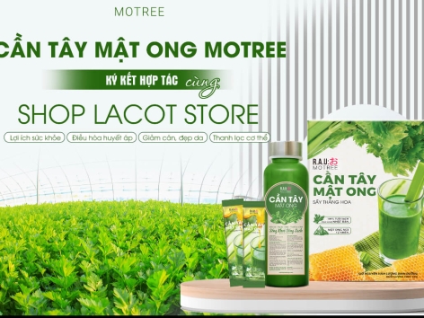 BỘT CẦN TÂY MẬT ONG MOTREE
